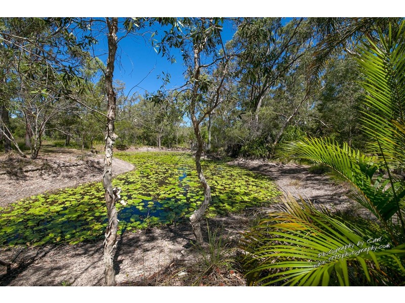 169 Allingham Way, Agnes Water QLD 4677