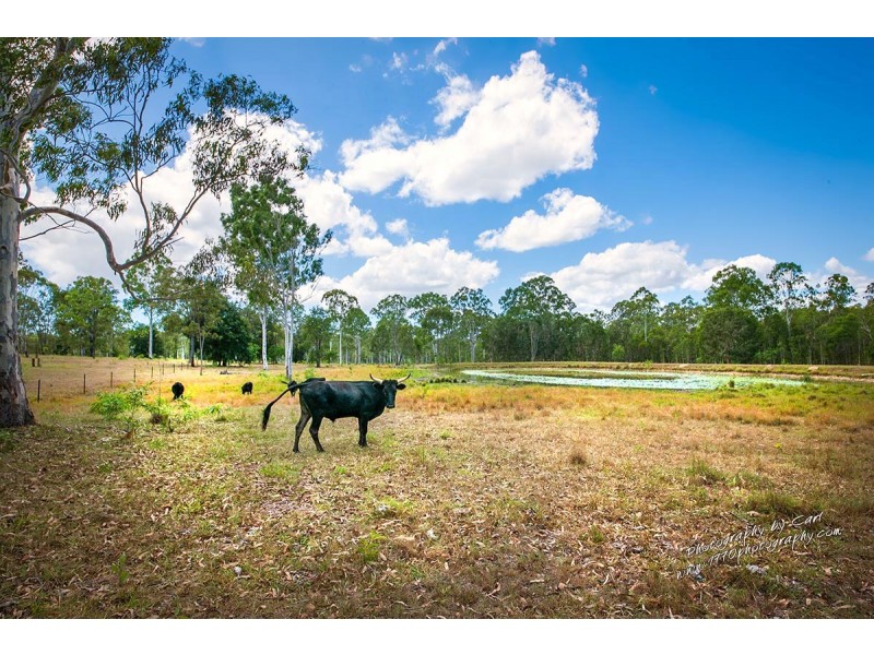 1010 Round Hill Road, Captain Creek QLD 4677