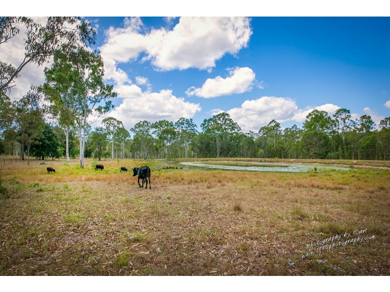 1010 Round Hill Road, Captain Creek QLD 4677