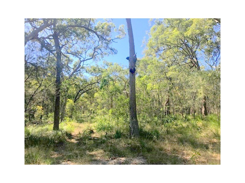 Agnes Water QLD 4677