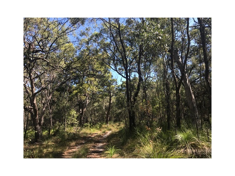 Agnes Water QLD 4677