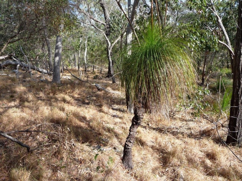 72 / L140 Josefski, Agnes Water QLD 4677
