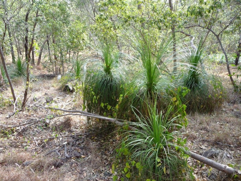 72 / L140 Josefski, Agnes Water QLD 4677