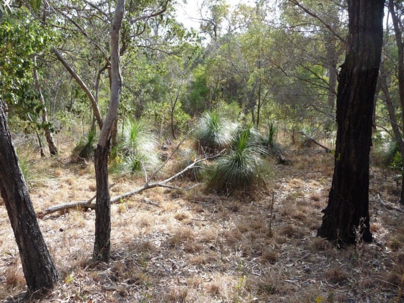 72 / L140 Josefski, Agnes Water QLD 4677