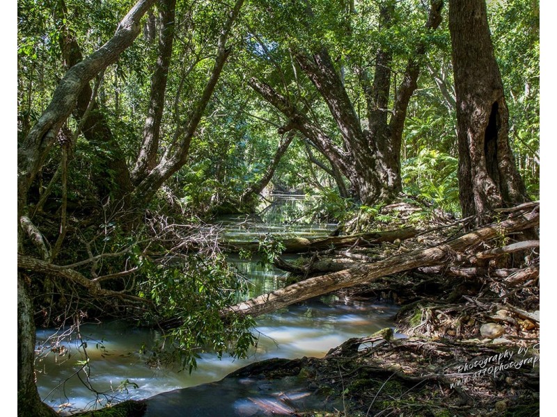 Lot 1 Round Hill Rd, Captain Creek QLD 4677