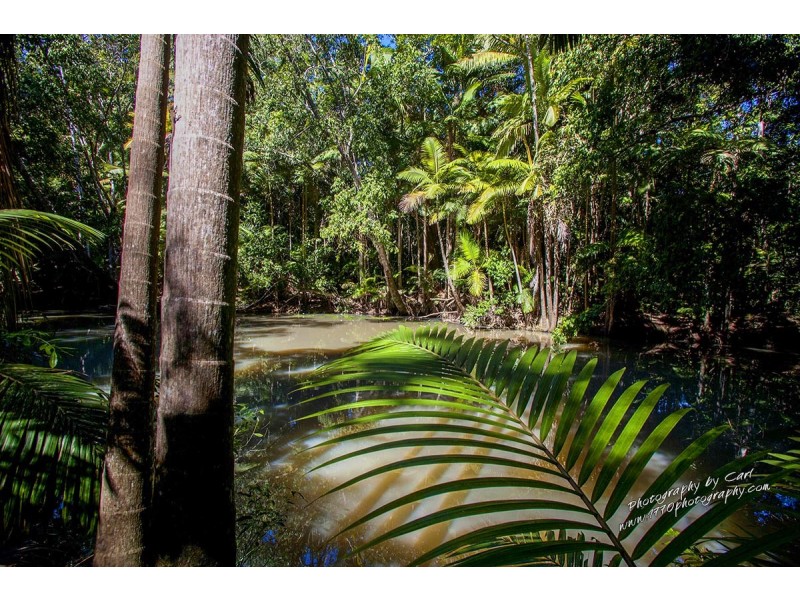 1222 / Lot 1 Round Hill Rd, Captain Creek QLD 4677