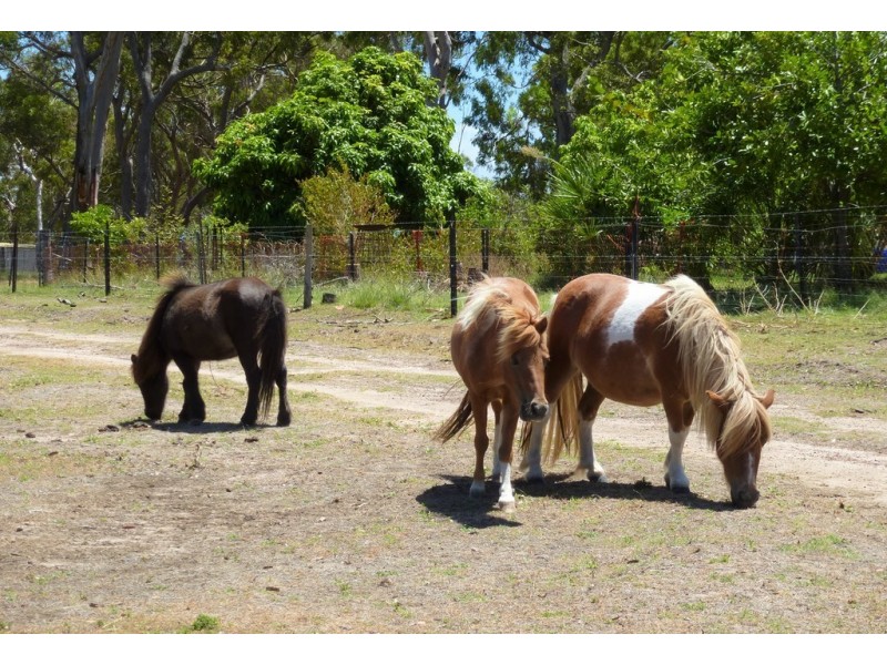 457 Deepwater Road, Deepwater QLD 4674