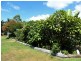 457 Deepwater Road, Deepwater QLD 4674
