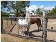 457 Deepwater Road, Deepwater QLD 4674