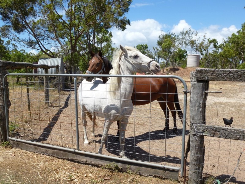 457 Deepwater Road, Deepwater QLD 4674