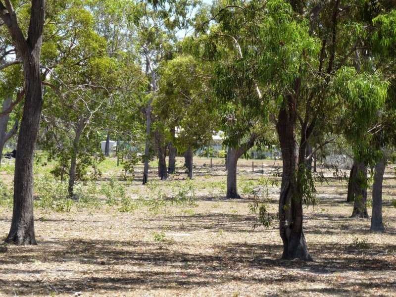 457 Deepwater Road, Deepwater QLD 4674