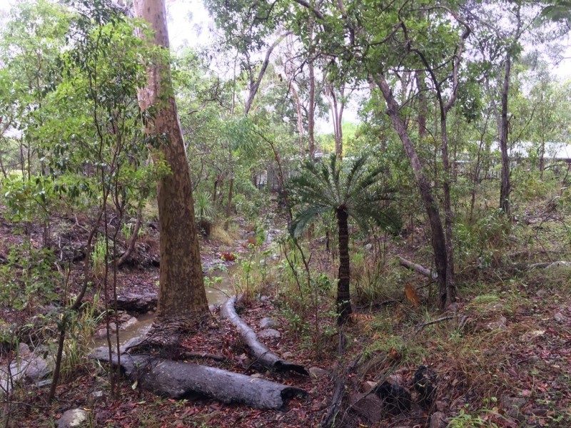 Lot 155 Josefski, Agnes Water QLD 4677