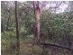 Lot 155 Josefski, Agnes Water QLD 4677