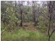 Lot 155 Josefski, Agnes Water QLD 4677