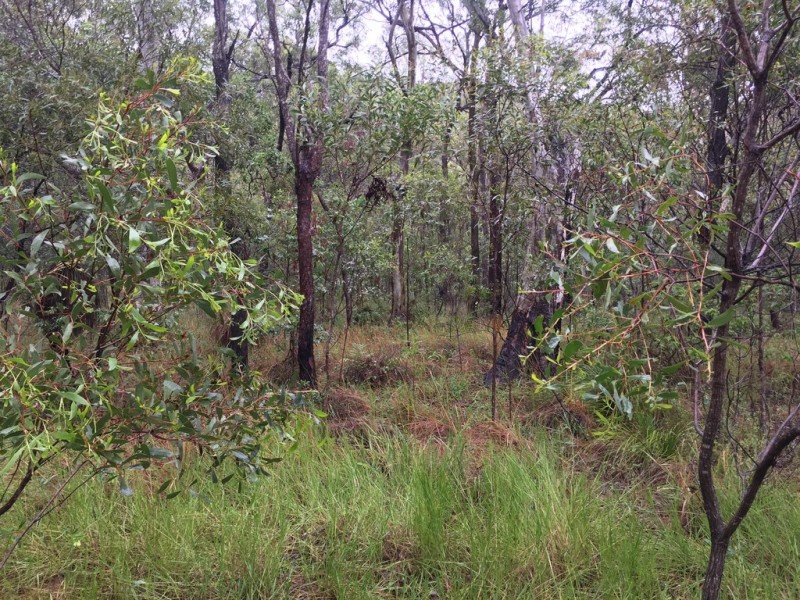 Lot 155 Josefski, Agnes Water QLD 4677