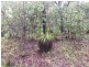 Lot 155 Josefski, Agnes Water QLD 4677
