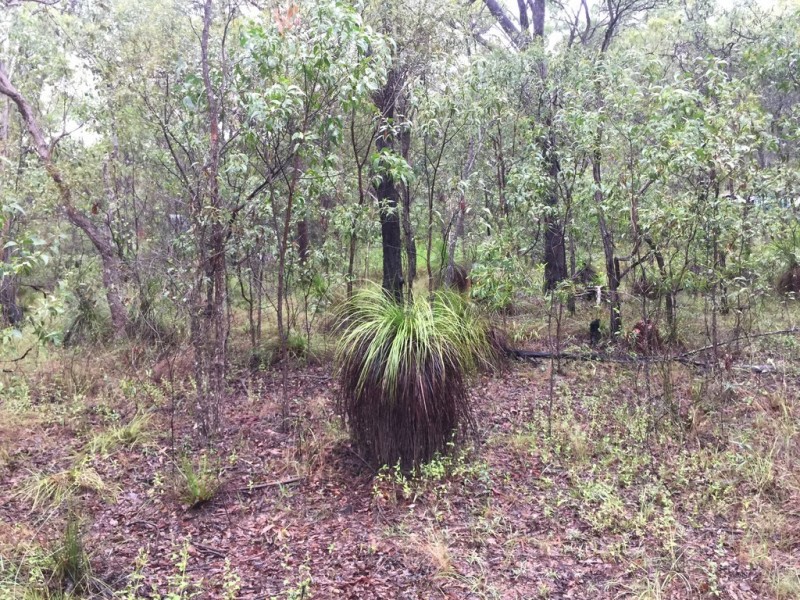 Lot 155 Josefski, Agnes Water QLD 4677
