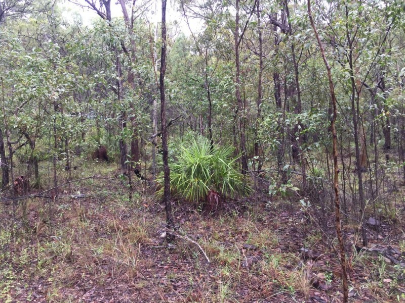 Lot 155 Josefski, Agnes Water QLD 4677