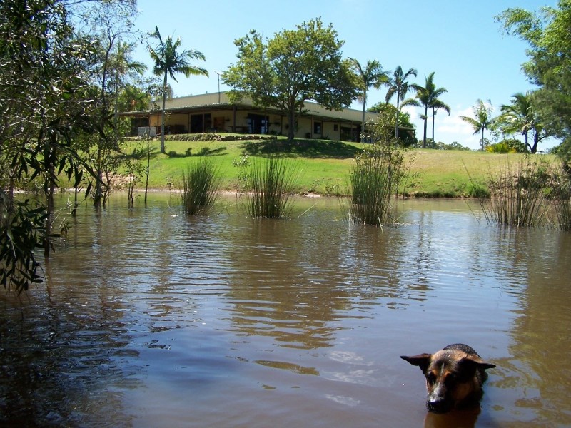 419 Matchbox Road, Deepwater QLD 4674