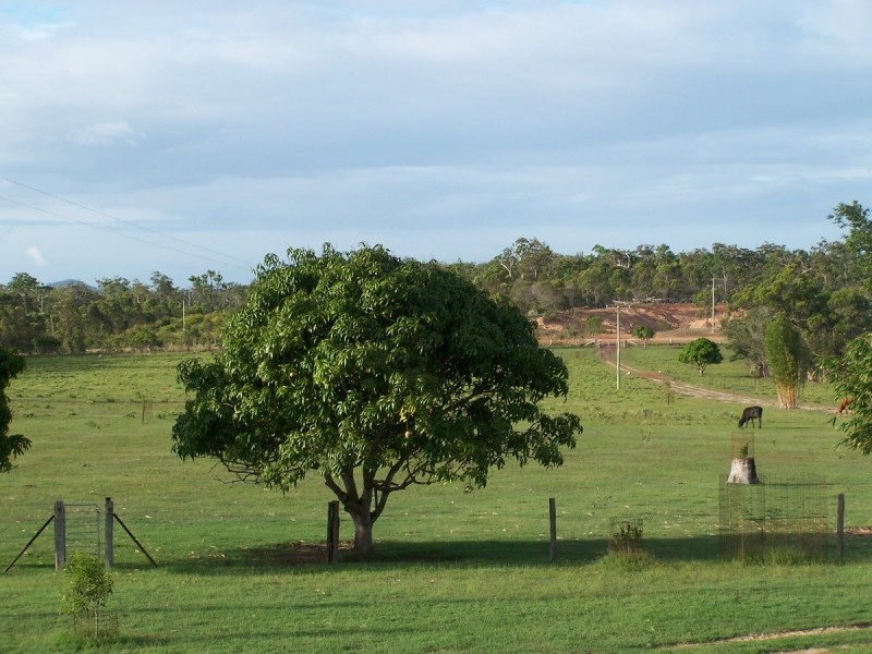 419 Matchbox Road, Deepwater QLD 4674