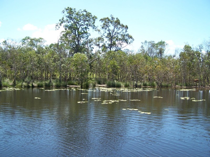 419 Matchbox Road, Deepwater QLD 4674