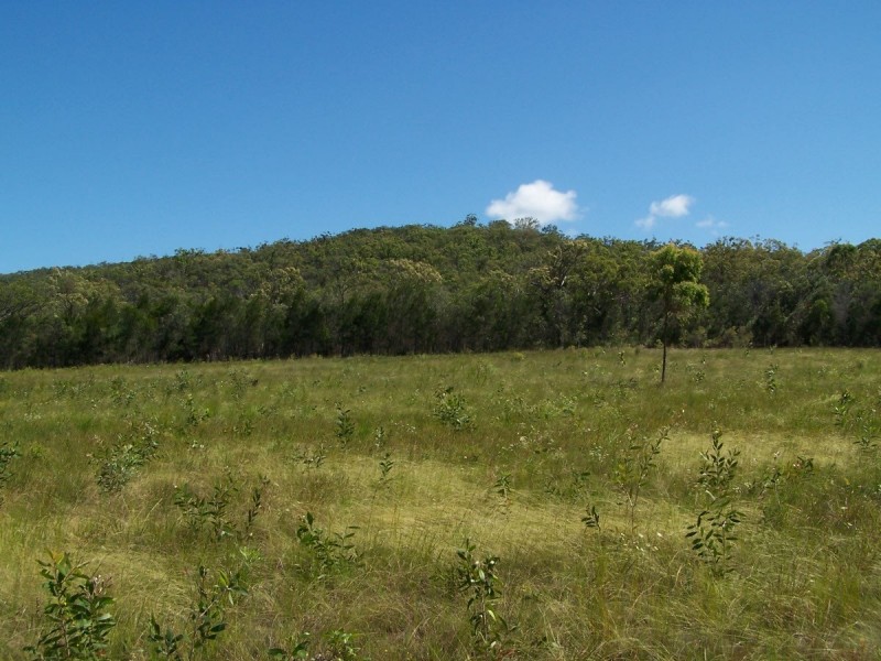 419 Matchbox Road, Deepwater QLD 4674