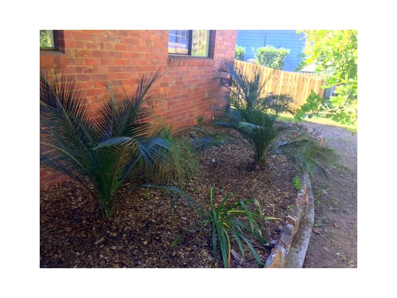 5 Jeffery Court, Agnes Water QLD 4677