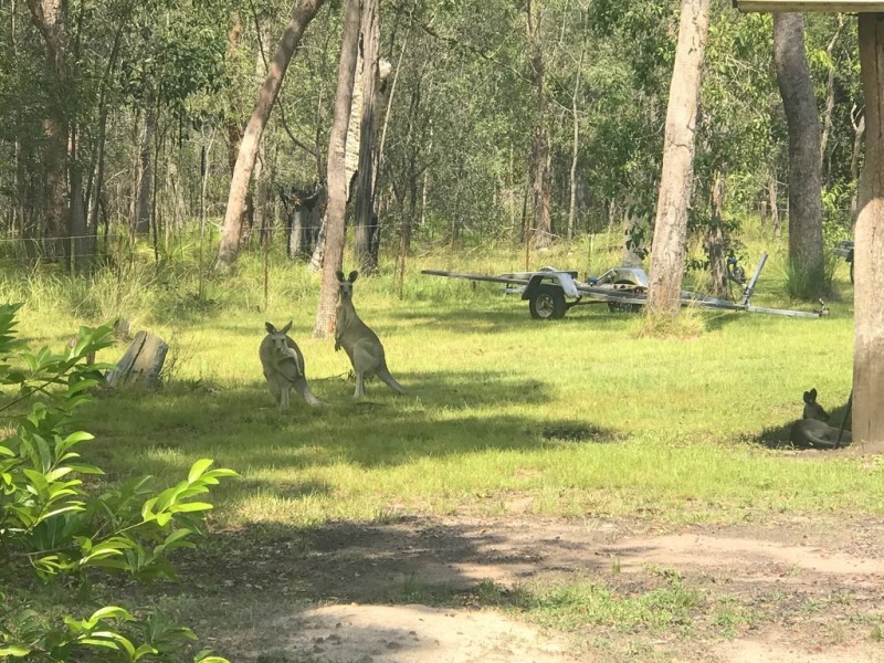 179 Murphy Road, Captain Creek QLD 4677
