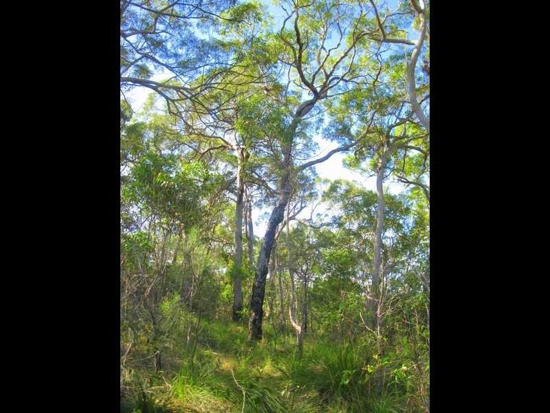 Agnes Water QLD 4677