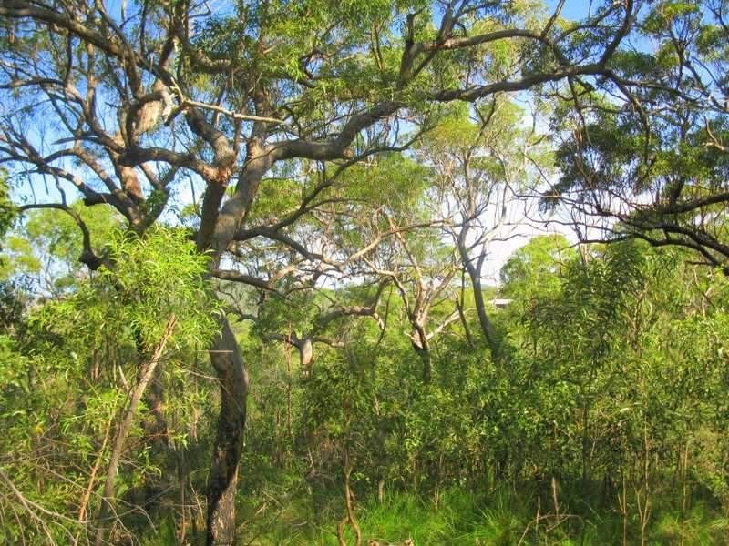 Agnes Water QLD 4677