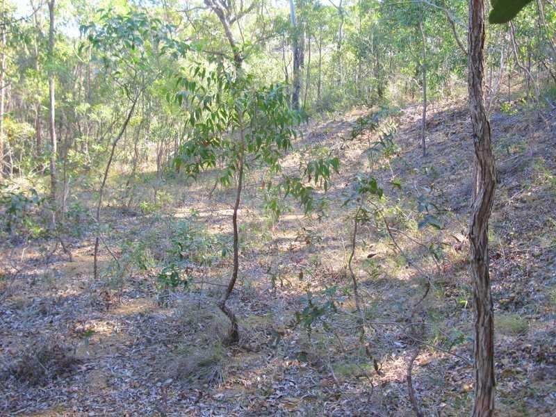 Agnes Water QLD 4677