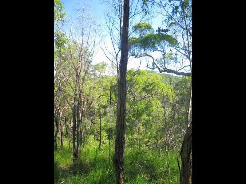 Agnes Water QLD 4677