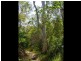 Lot 489 Wilson Drive, Agnes Water QLD 4677