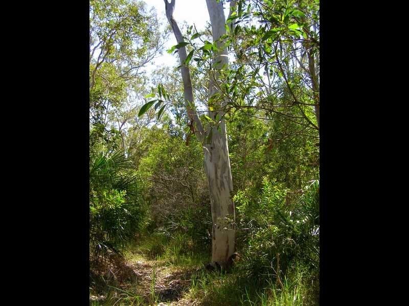 Lot 489 Wilson Drive, Agnes Water QLD 4677