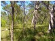 Lot 489 Wilson Drive, Agnes Water QLD 4677