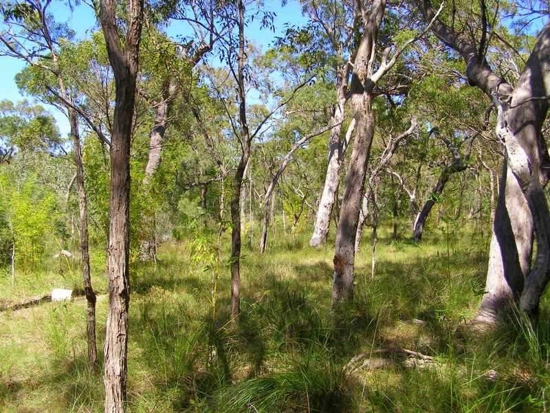 Lot 489 Wilson Drive, Agnes Water QLD 4677