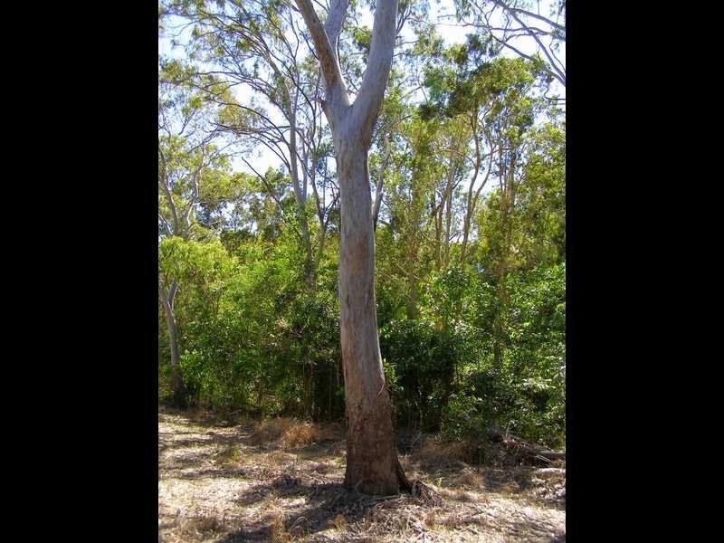 Lot 489 Wilson Drive, Agnes Water QLD 4677