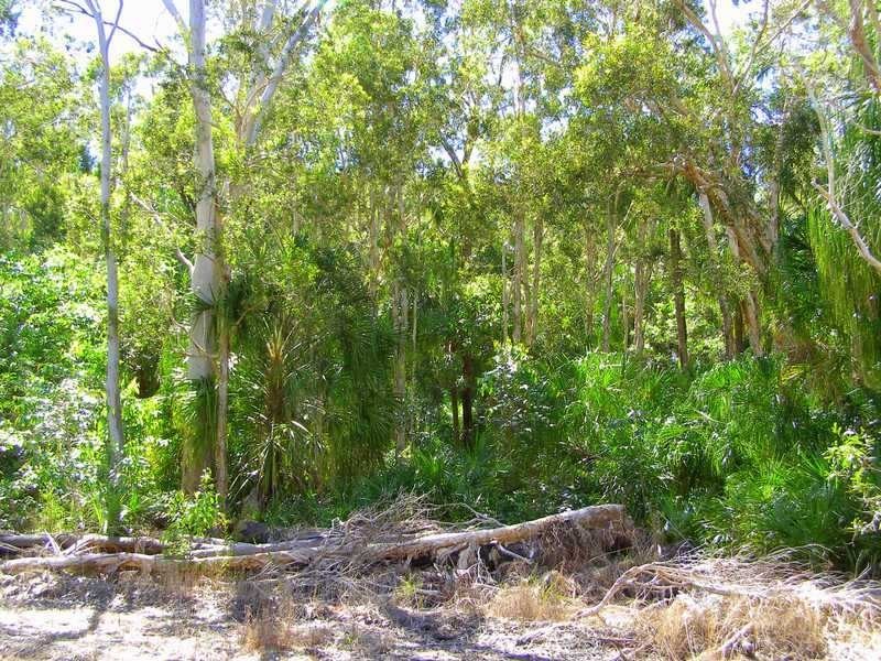 Lot 489 Wilson Drive, Agnes Water QLD 4677