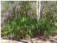 Lot 489 Wilson Drive, Agnes Water QLD 4677