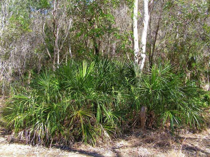 Lot 489 Wilson Drive, Agnes Water QLD 4677
