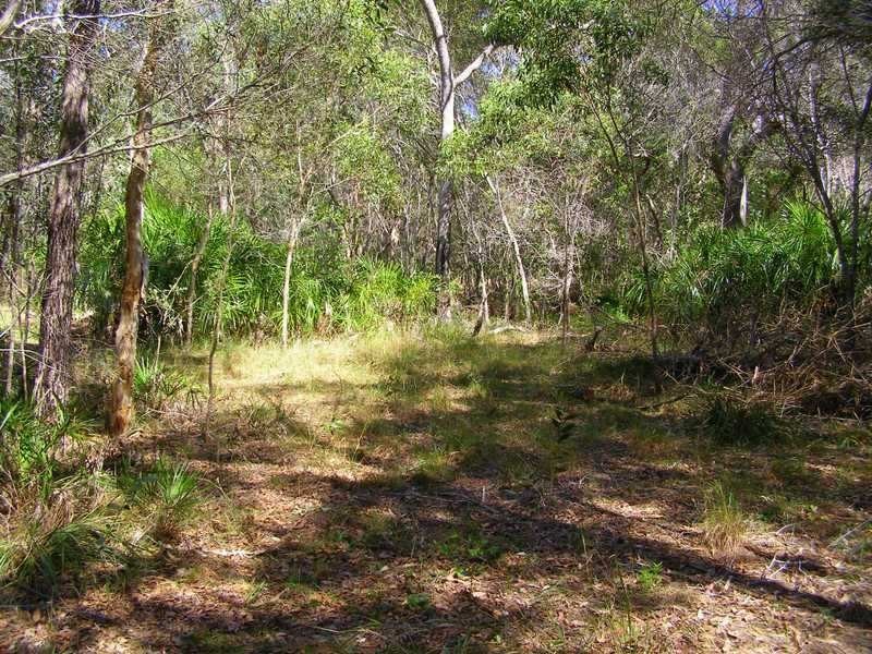 Lot 489 Wilson Drive, Agnes Water QLD 4677