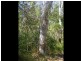Lot 489 Wilson Drive, Agnes Water QLD 4677