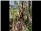 Lot 489 Wilson Drive, Agnes Water QLD 4677
