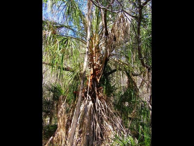 Lot 489 Wilson Drive, Agnes Water QLD 4677