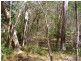 Lot 489 Wilson Drive, Agnes Water QLD 4677