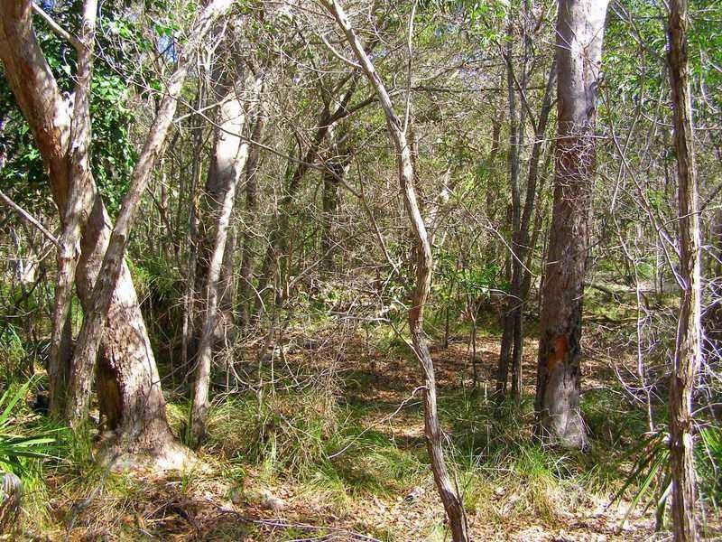 Lot 489 Wilson Drive, Agnes Water QLD 4677