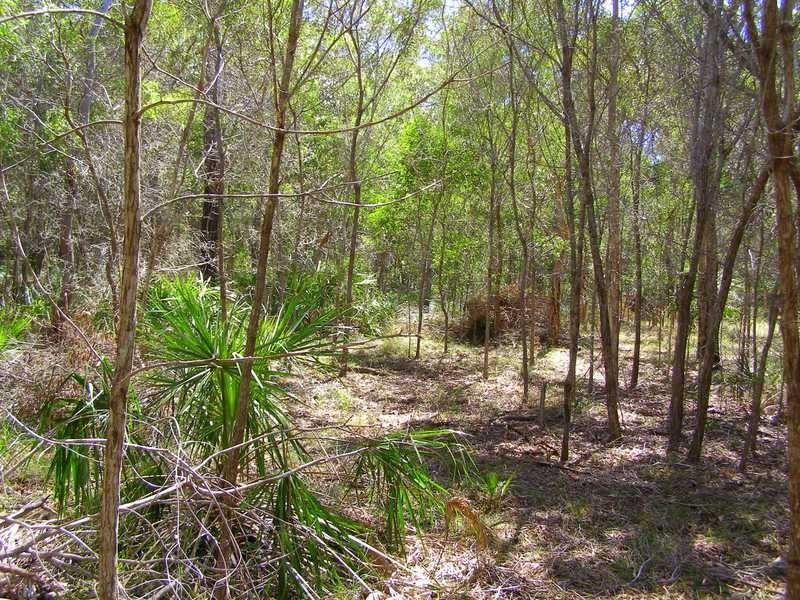 Lot 489 Wilson Drive, Agnes Water QLD 4677