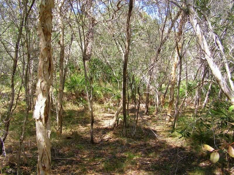 Lot 489 Wilson Drive, Agnes Water QLD 4677