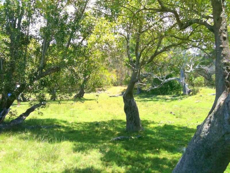 32 Coast Road, Baffle Creek QLD 4674