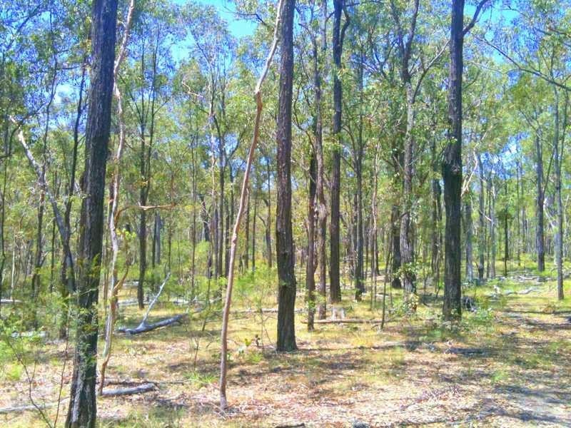 32 Coast Road, Baffle Creek QLD 4674